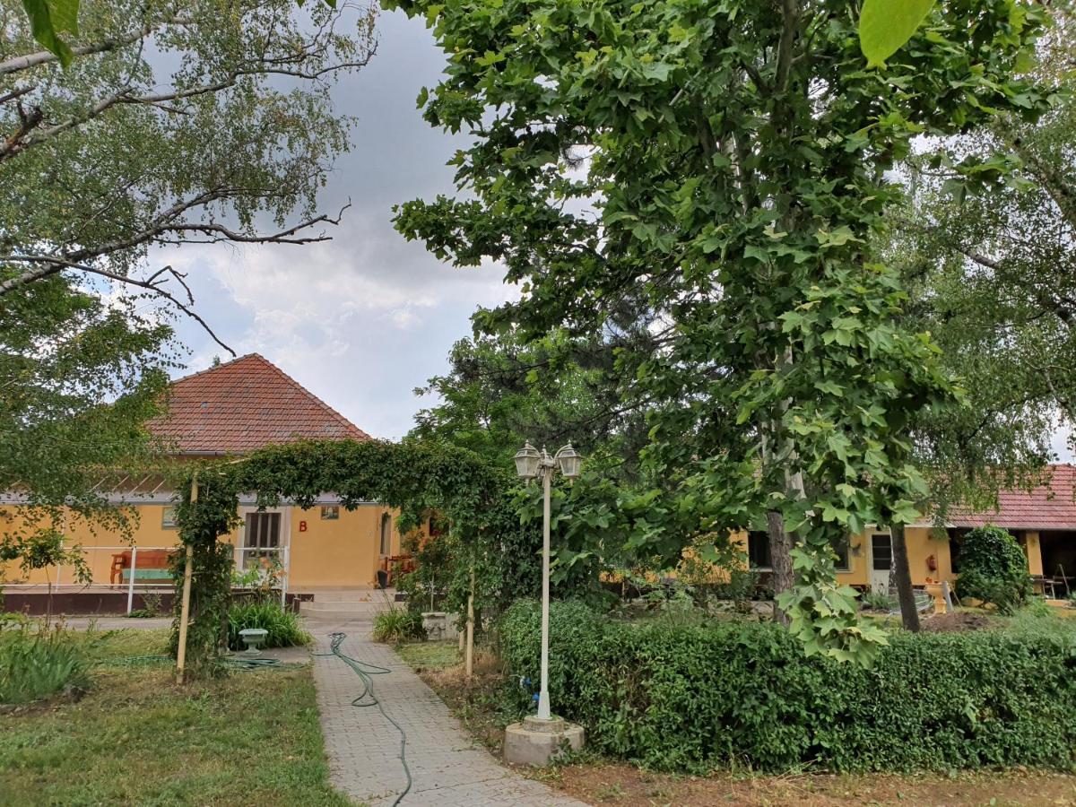 Platan Szallashely Hotel Sandorfalva Exterior photo