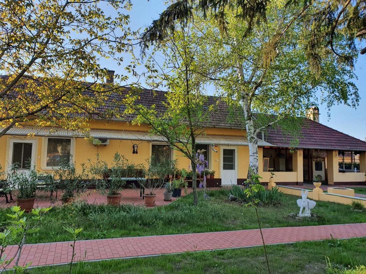 Platan Szallashely Hotel Sandorfalva Exterior photo