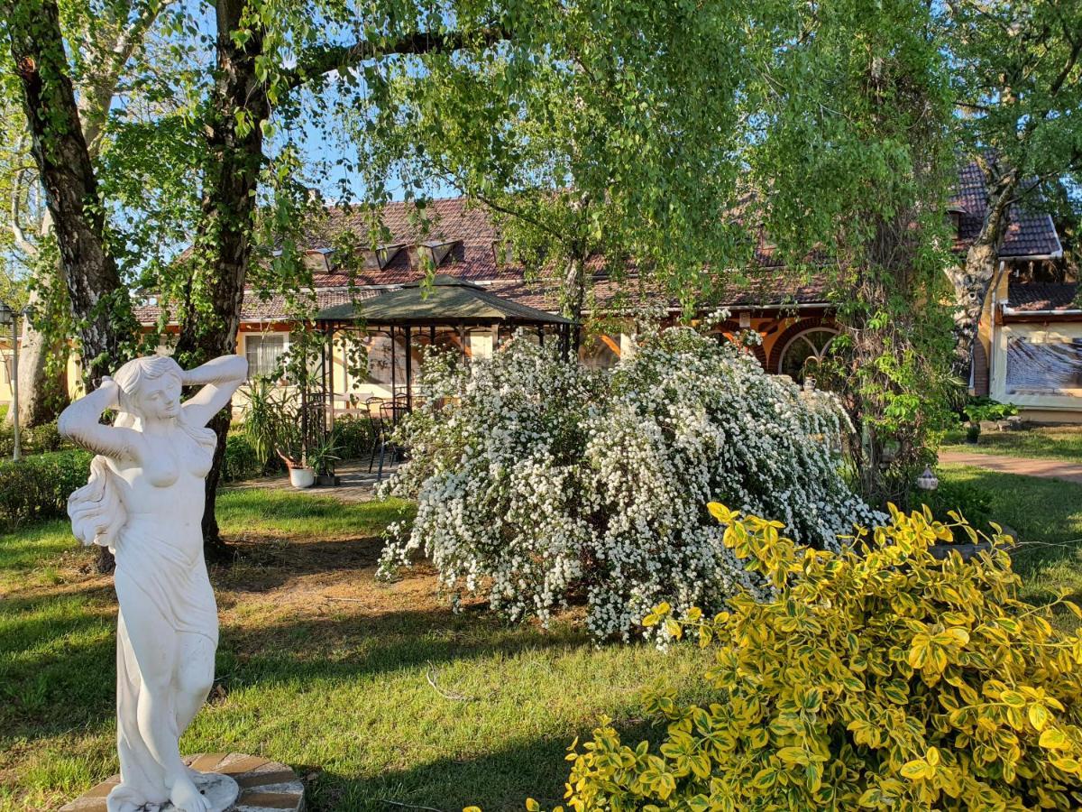 Platan Szallashely Hotel Sandorfalva Exterior photo